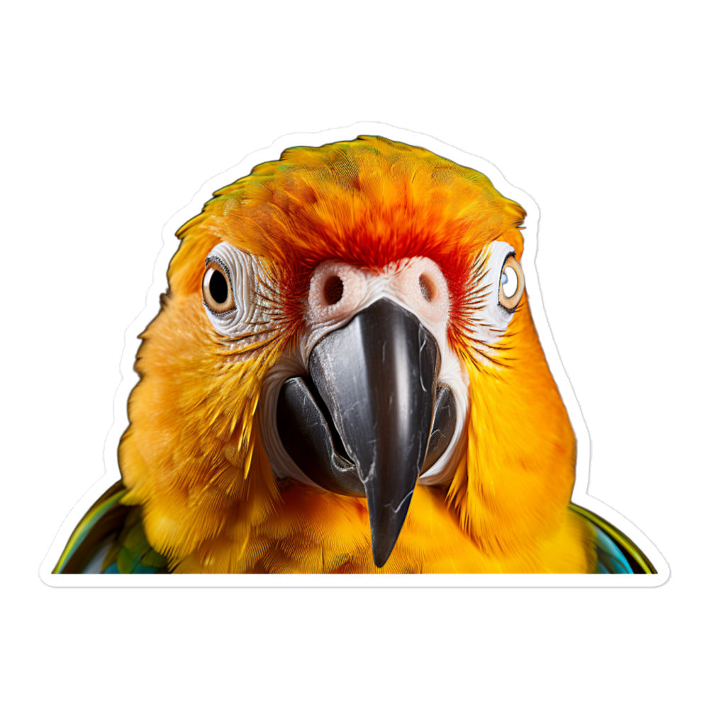 Sun Conure Sticker - Stickerfy.ai