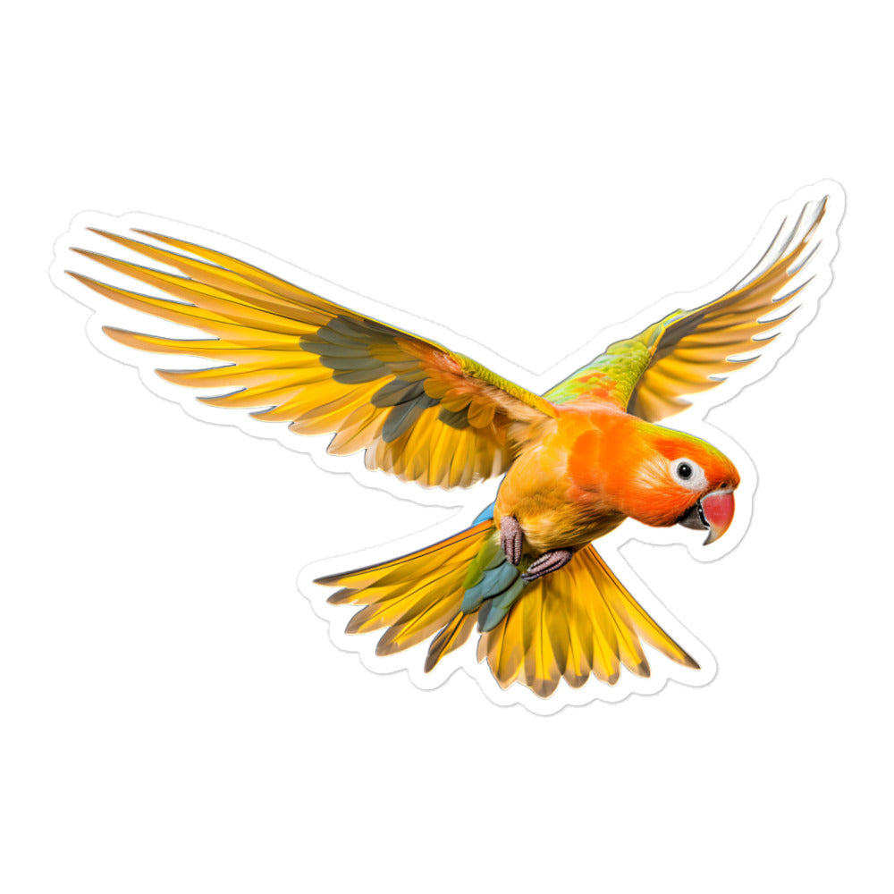 Sun Conure Sticker - Stickerfy.ai