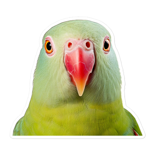 Indian Ringneck Parakeet Sticker - Stickerfy.ai