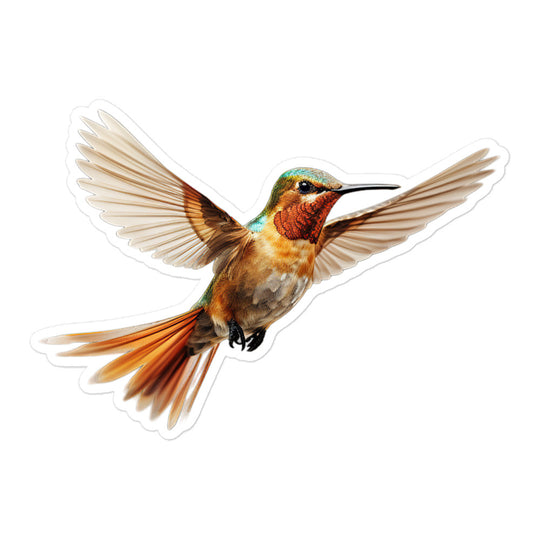 Hummingbird Sticker - Stickerfy.ai