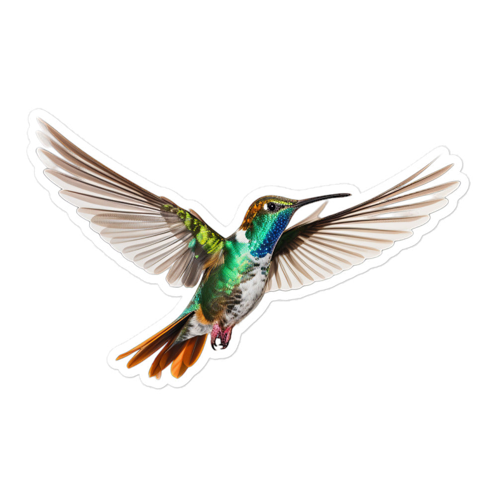 Hummingbird Sticker - Stickerfy.ai