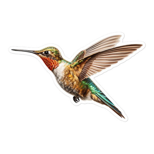 Hummingbird Sticker - Stickerfy.ai