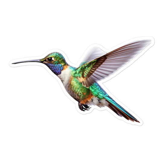 Hummingbird Sticker - Stickerfy.ai