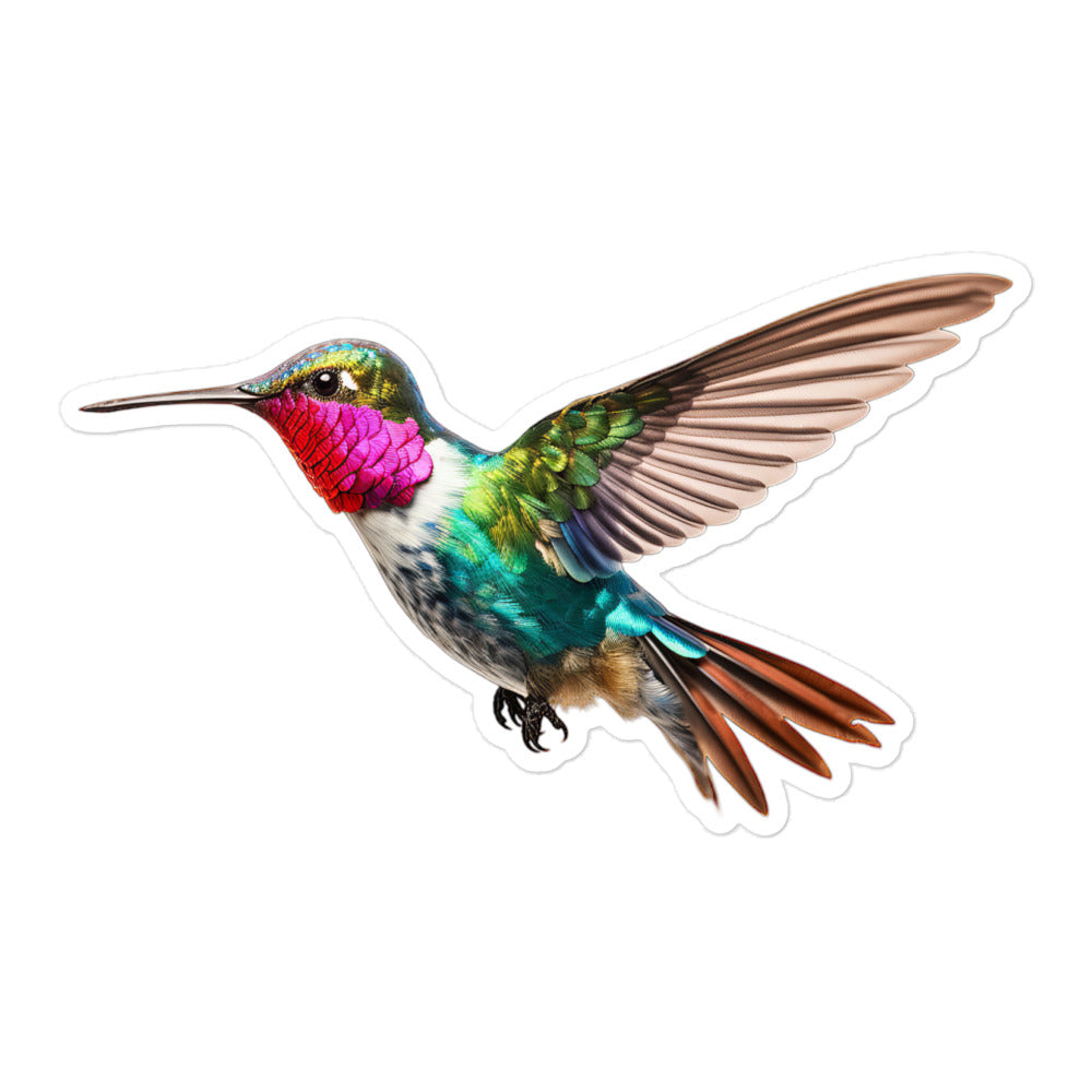 Hummingbird Sticker - Stickerfy.ai