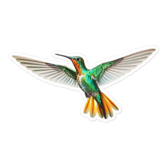 Hummingbird Sticker - Stickerfy.ai