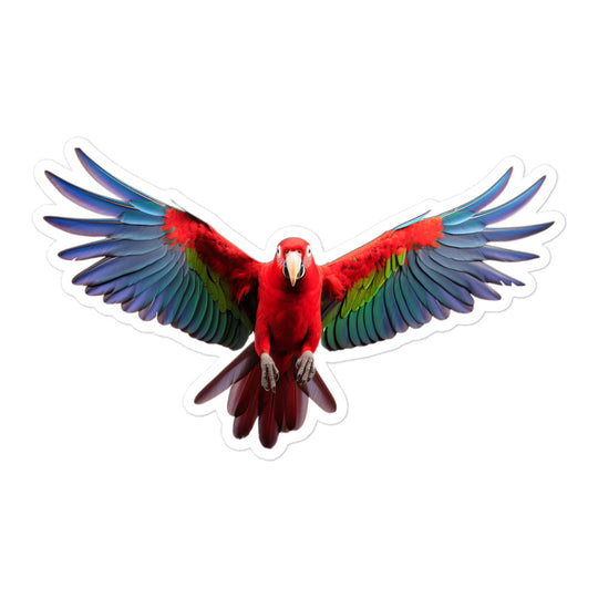 Eclectus Parrot Sticker - Stickerfy.ai