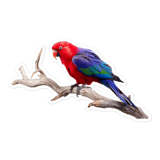 Eclectus Parrot Sticker - Stickerfy.ai