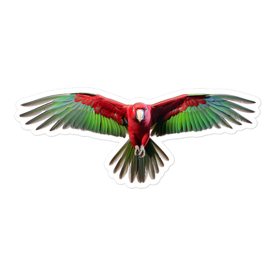 Eclectus Parrot Sticker - Stickerfy.ai