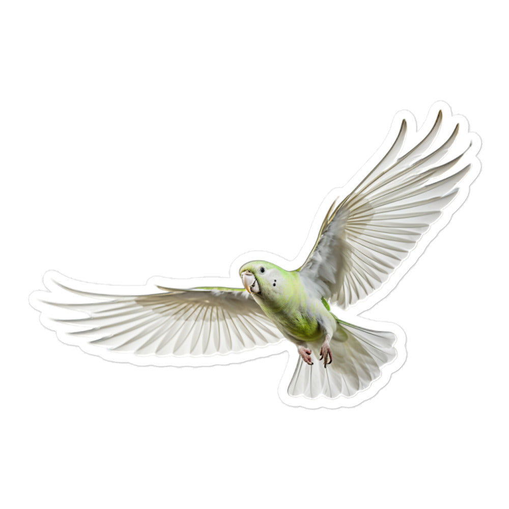 Quaker Parrot Sticker - Stickerfy.ai