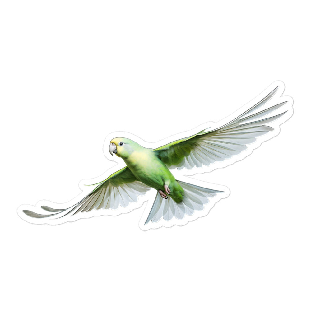 Quaker Parrot Sticker - Stickerfy.ai