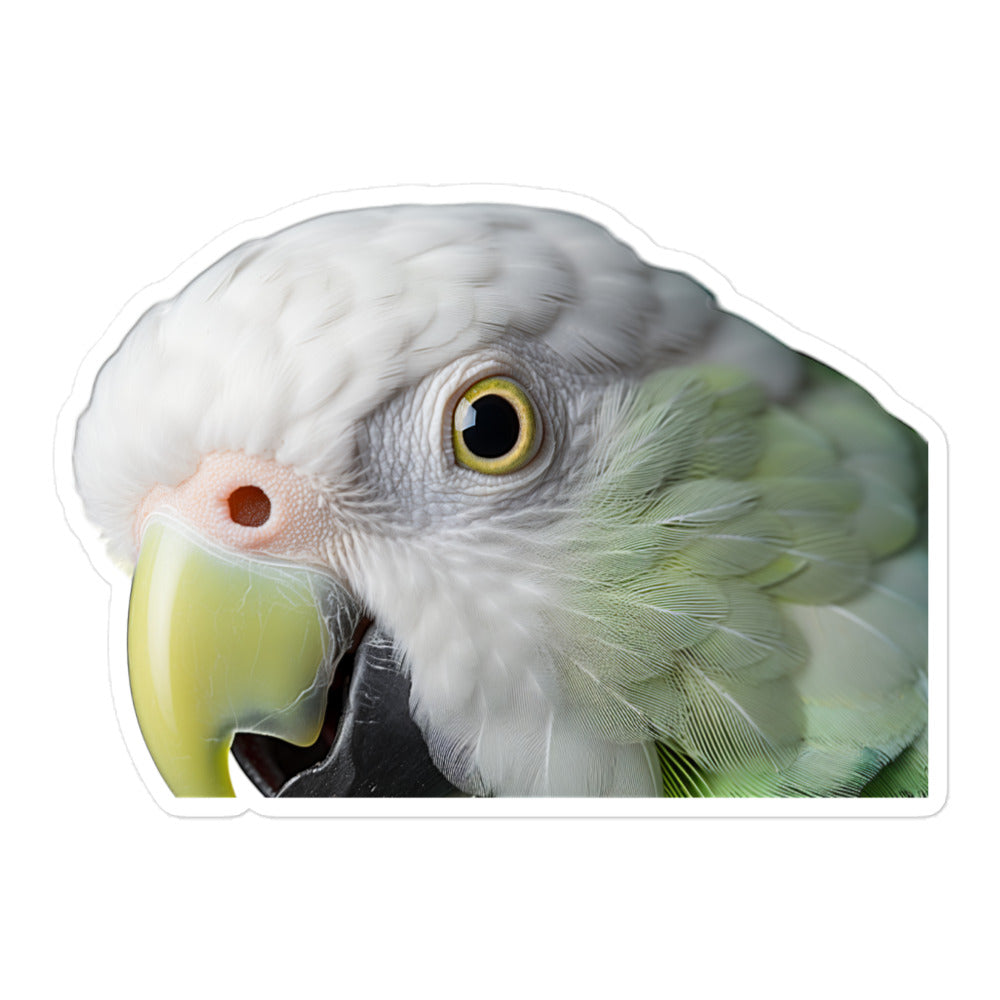 Quaker Parrot Sticker - Stickerfy.ai