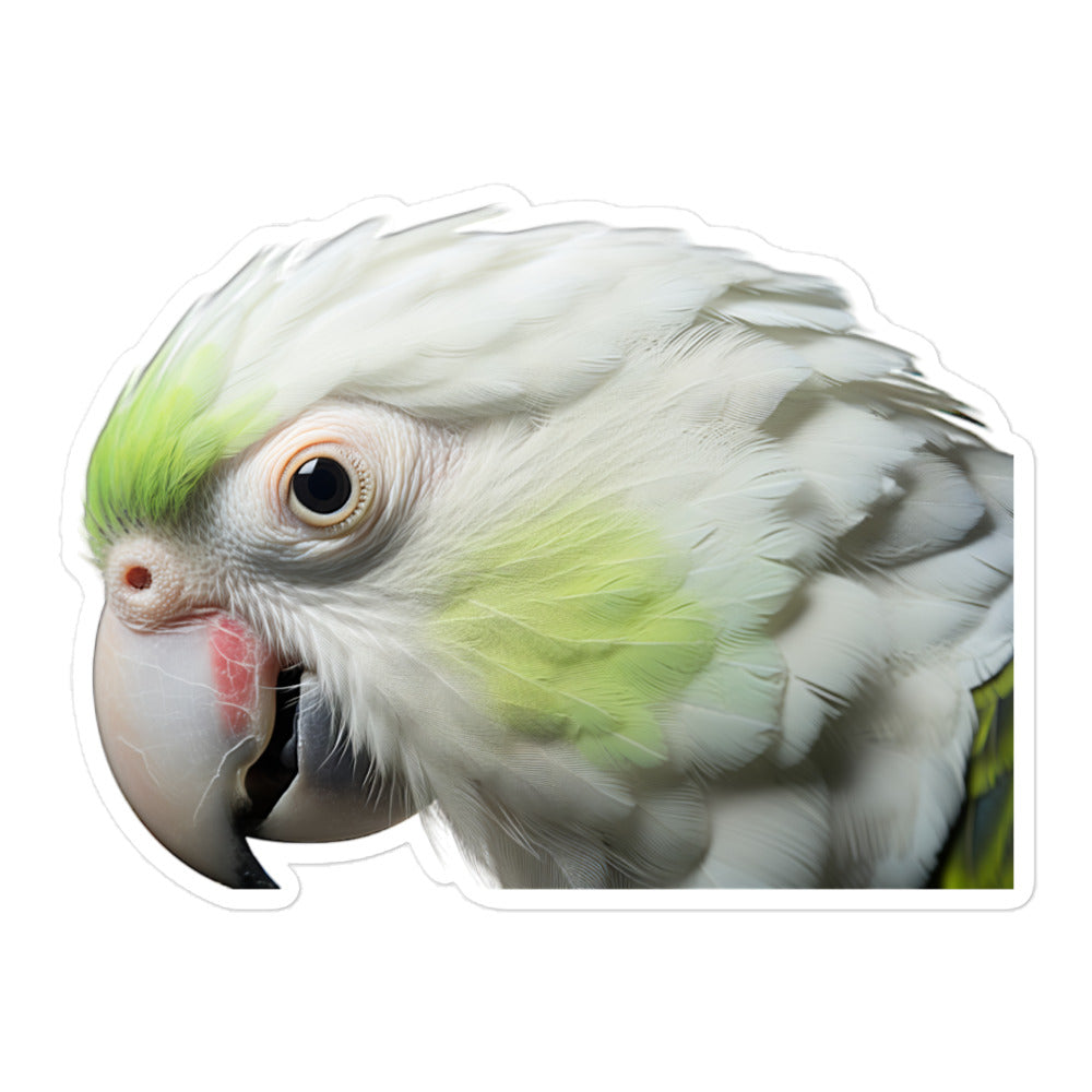 Quaker Parrot Sticker - Stickerfy.ai