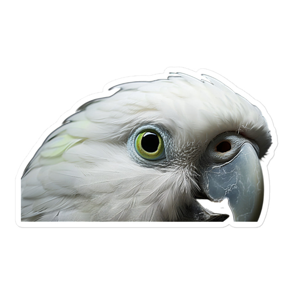 Quaker Parrot Sticker - Stickerfy.ai