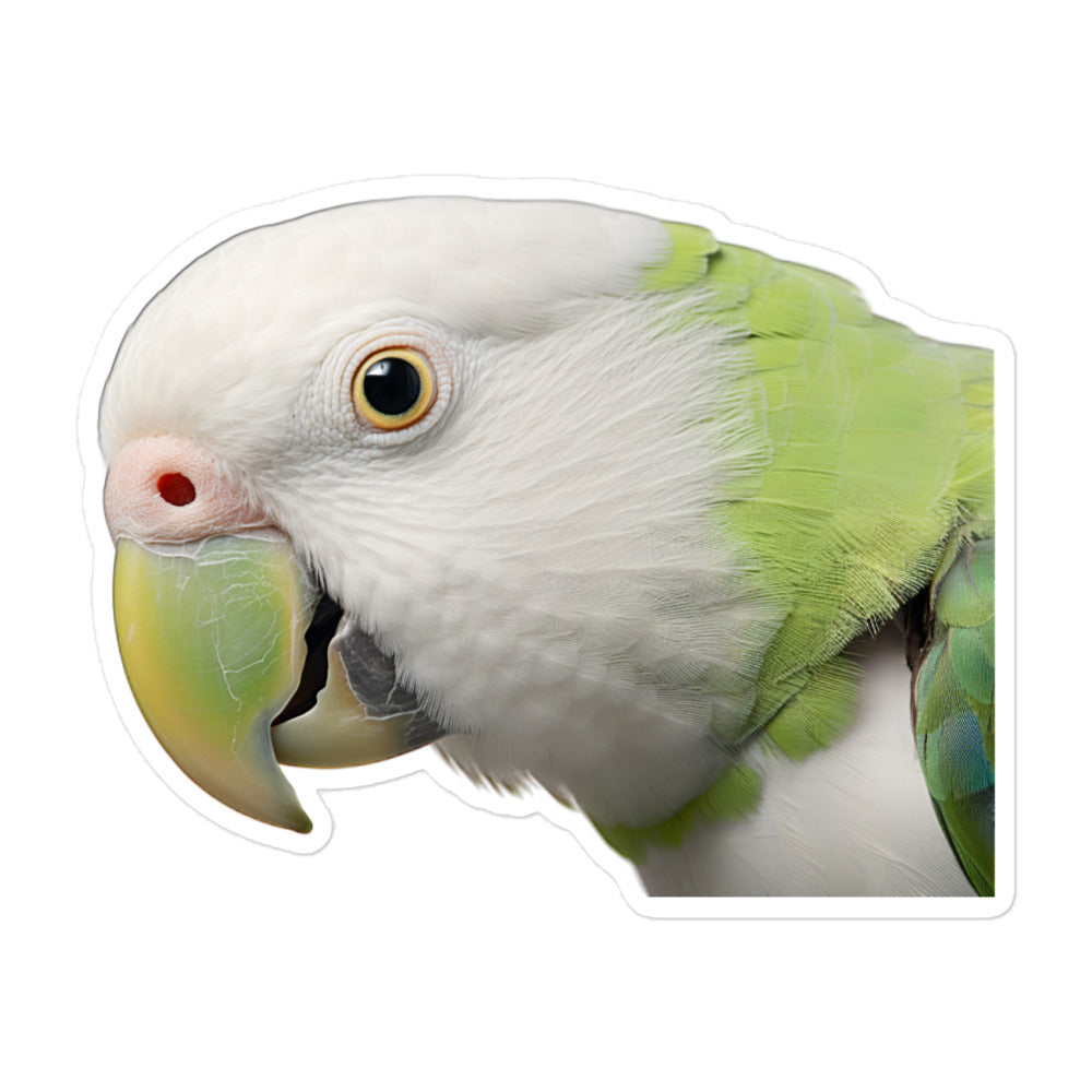 Quaker Parrot Sticker - Stickerfy.ai