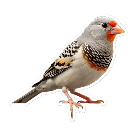 Zebra Finch Sticker - Stickerfy.ai