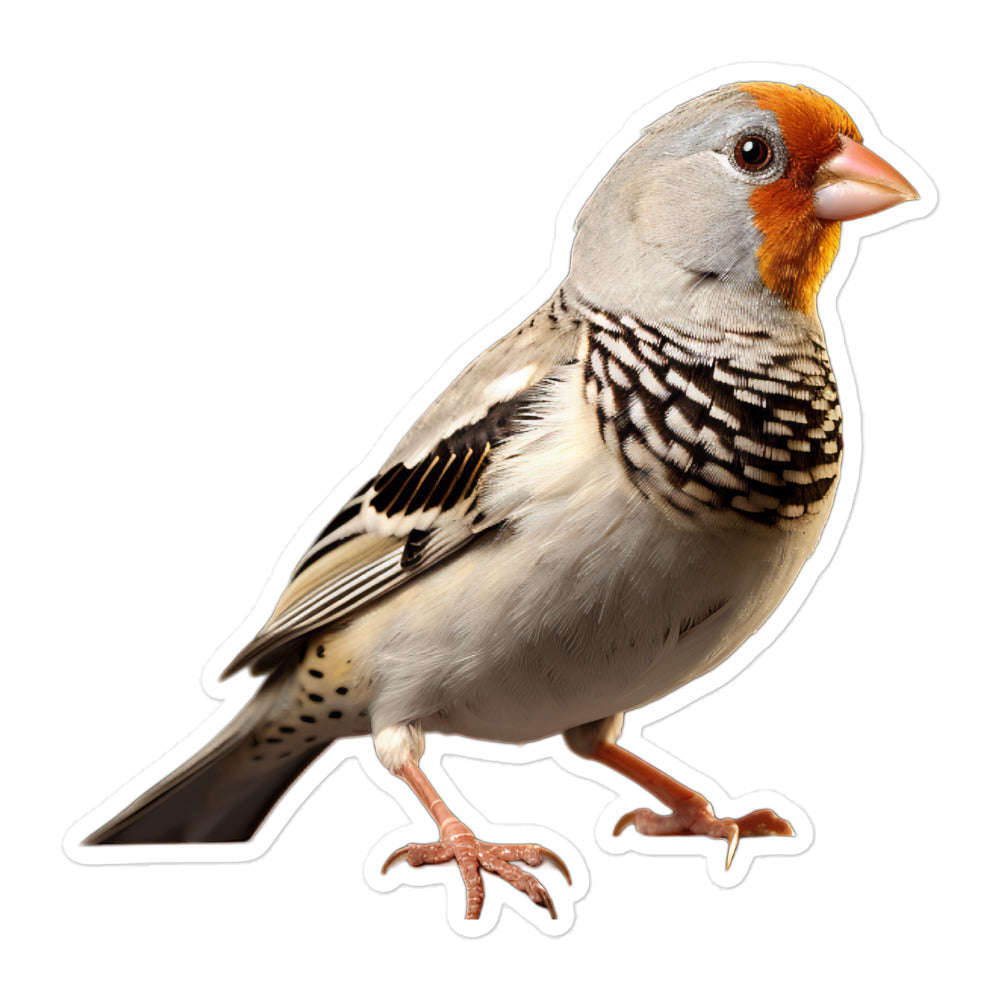 Zebra Finch Sticker - Stickerfy.ai