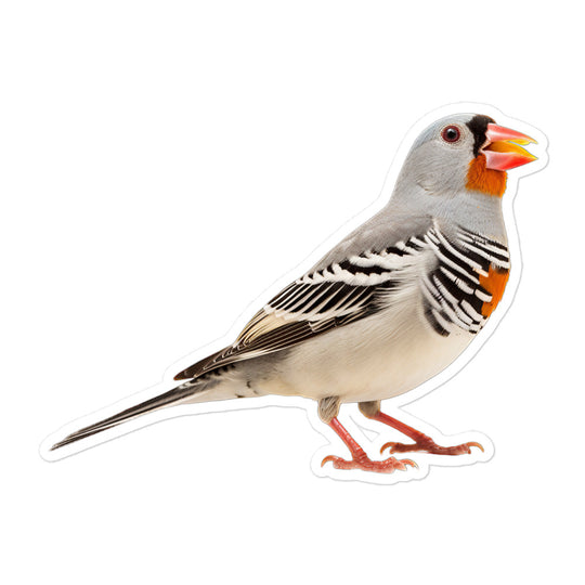 Zebra Finch Sticker - Stickerfy.ai