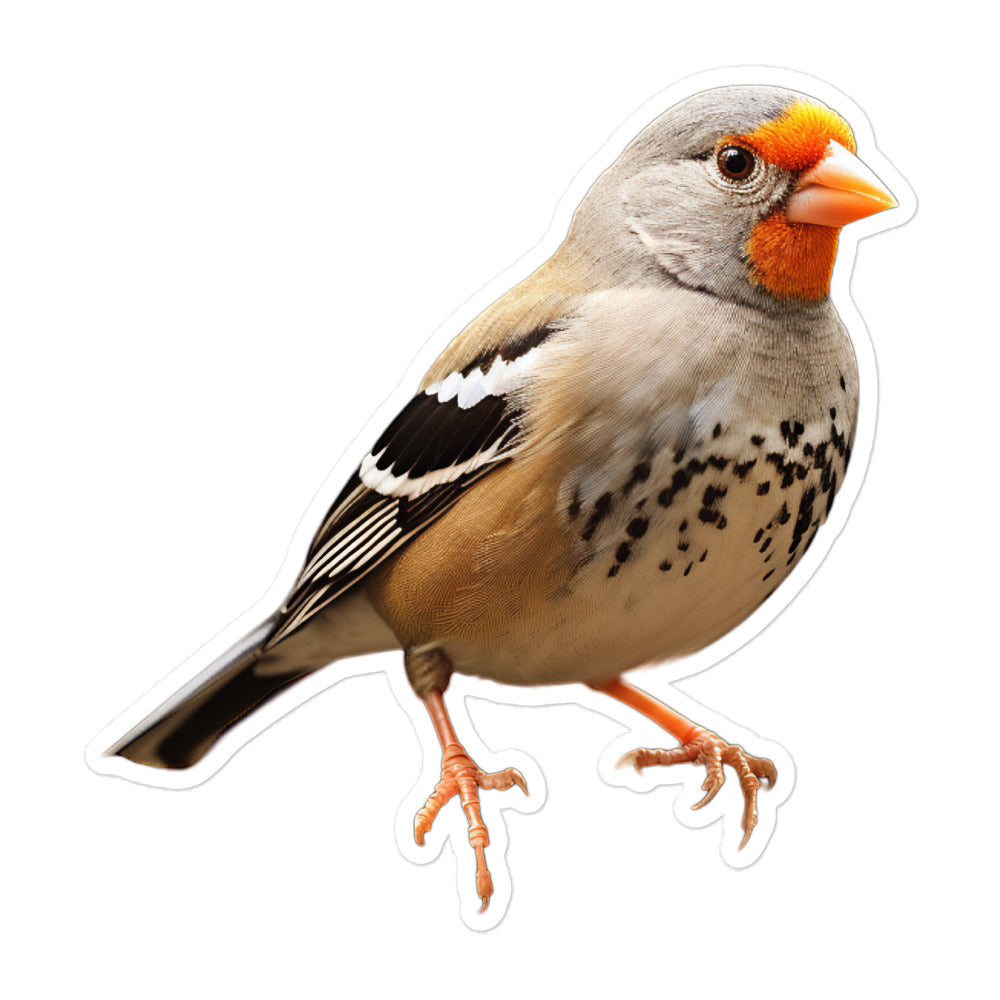 Zebra Finch Sticker - Stickerfy.ai