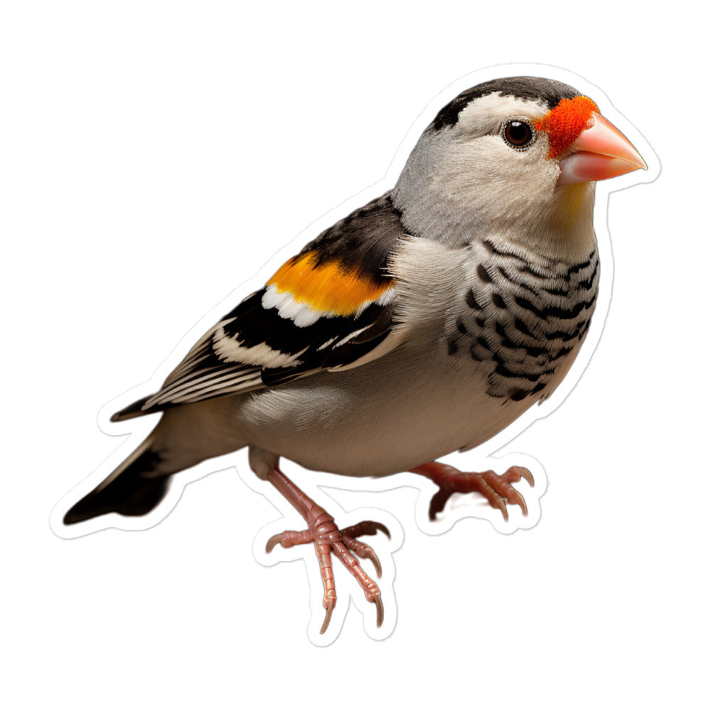 Zebra Finch Sticker - Stickerfy.ai