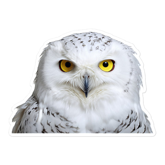 Snowy Owl Sticker - Stickerfy.ai