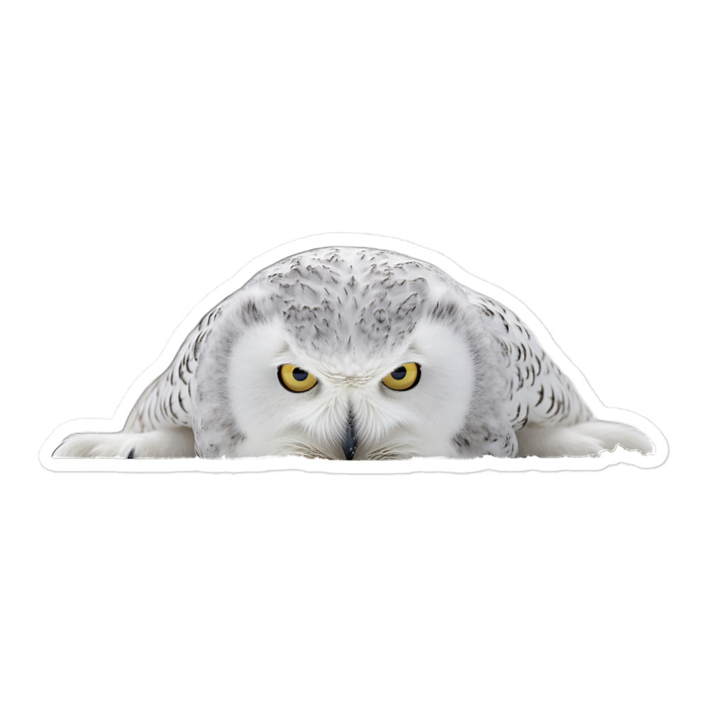 Snowy Owl Sticker - Stickerfy.ai