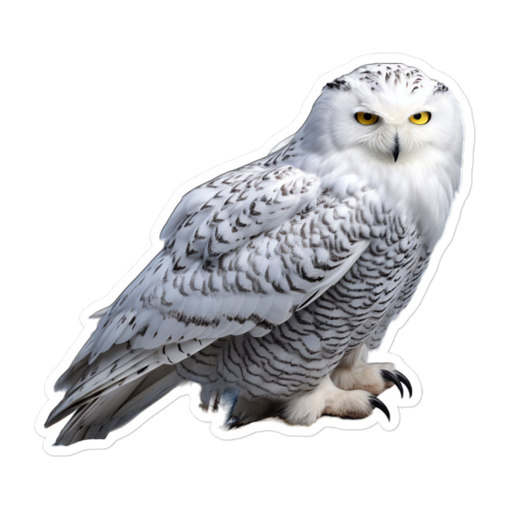 Snowy Owl Sticker - Stickerfy.ai