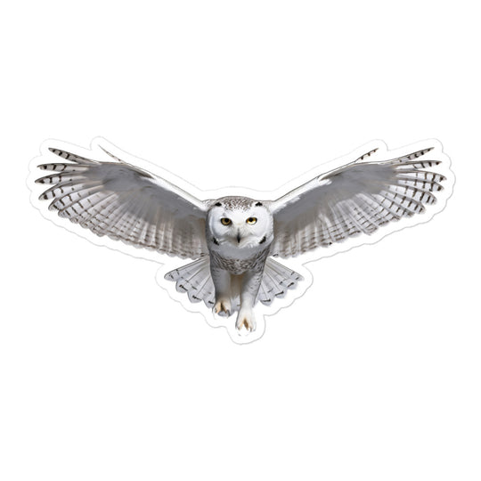 Snowy Owl Sticker - Stickerfy.ai