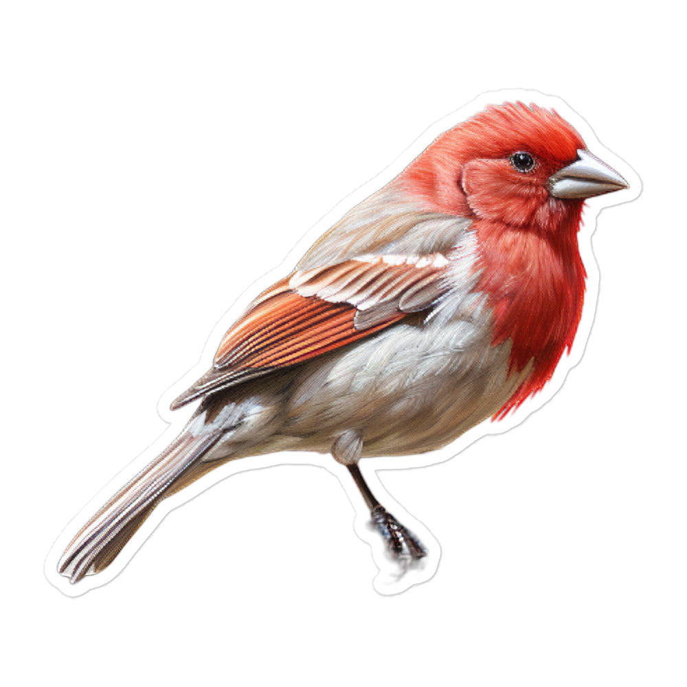 Red Headed Finch Sticker - Stickerfy.ai