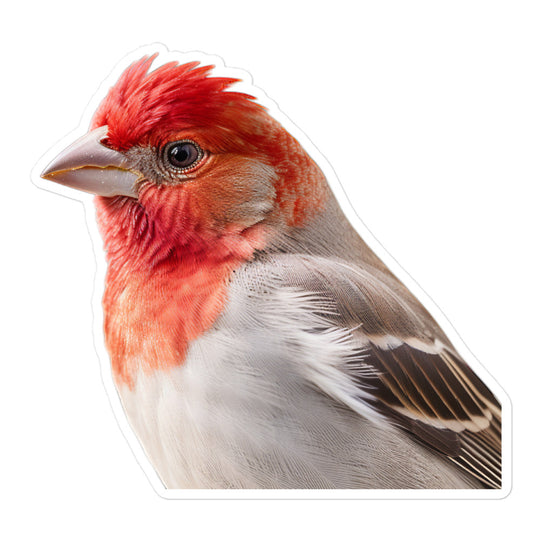 Red Headed Finch Sticker - Stickerfy.ai