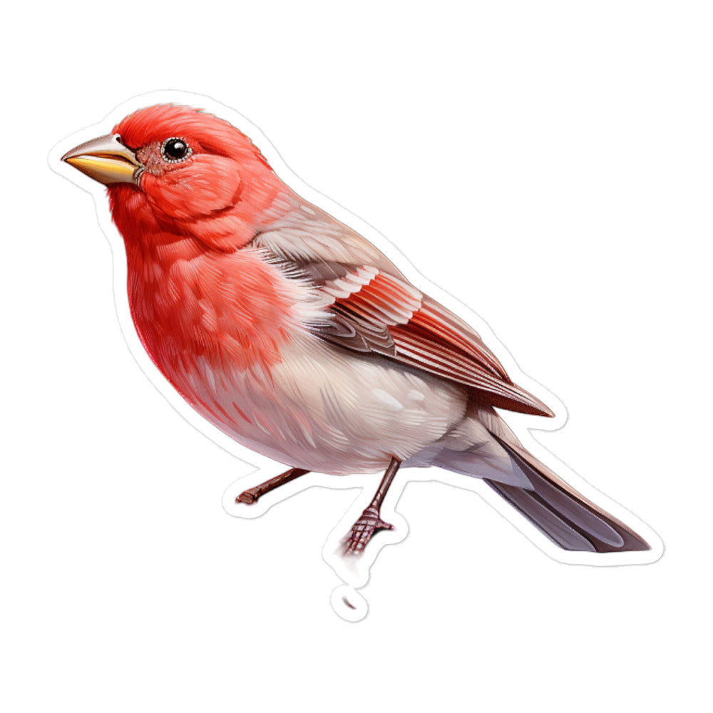 Red Headed Finch Sticker - Stickerfy.ai