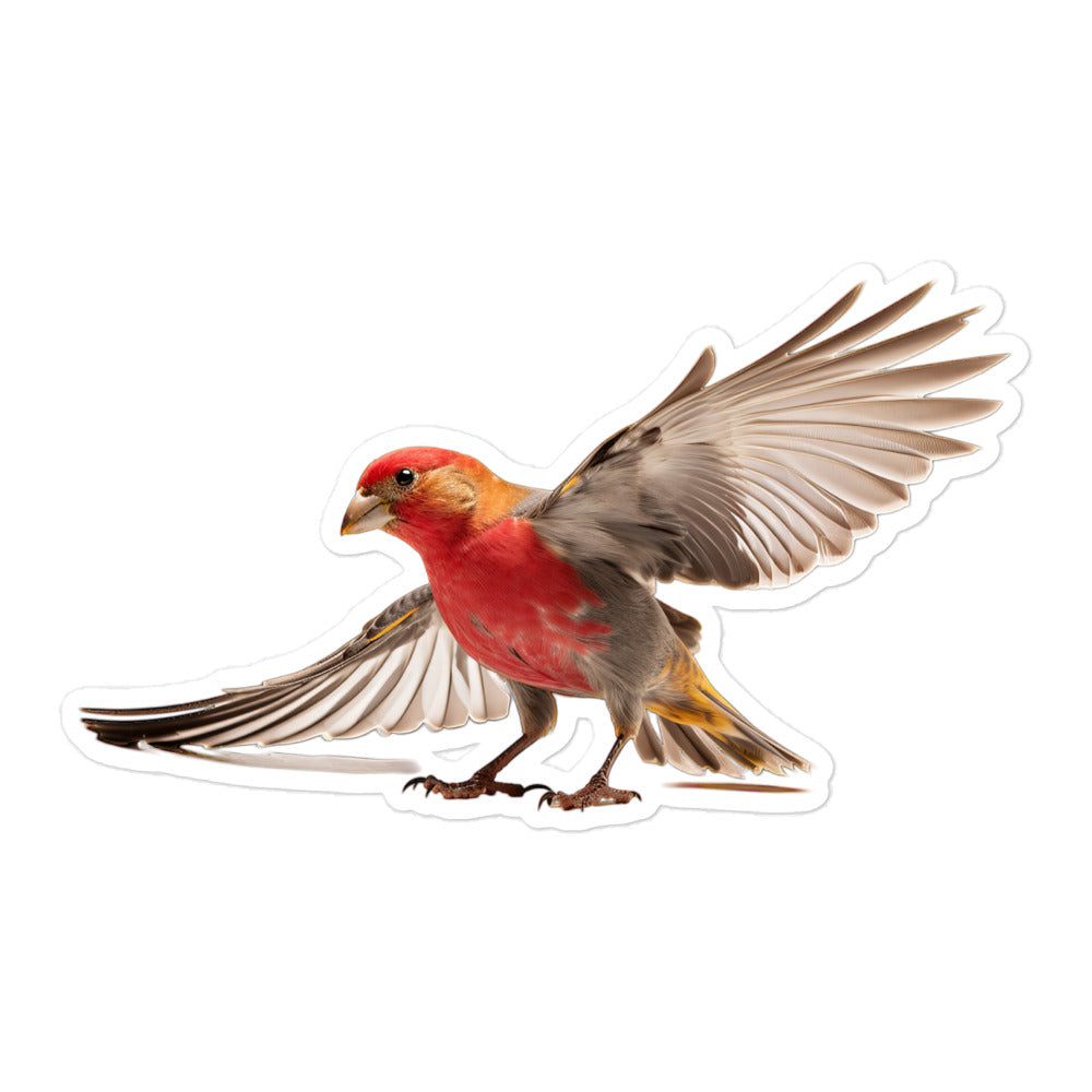 Red Headed Finch Sticker - Stickerfy.ai