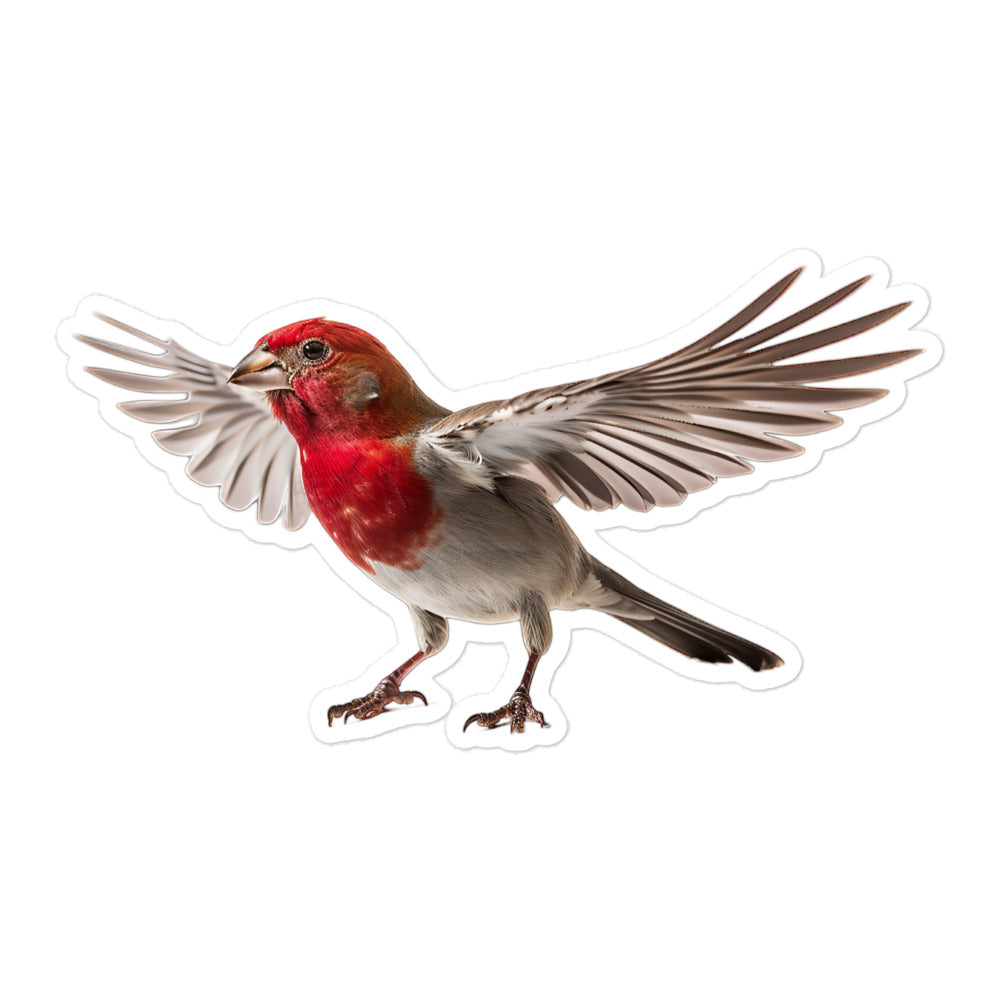 Red Headed Finch Sticker - Stickerfy.ai