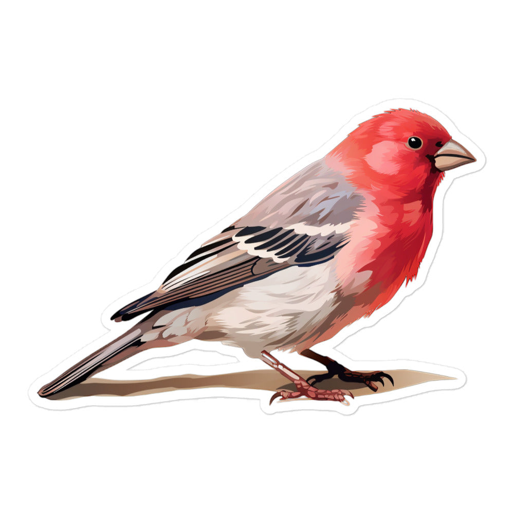 Red Headed Finch Sticker - Stickerfy.ai