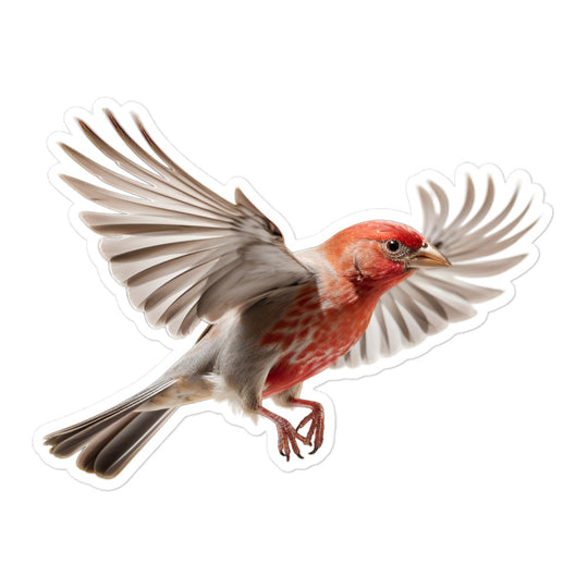 Red Headed Finch Sticker - Stickerfy.ai