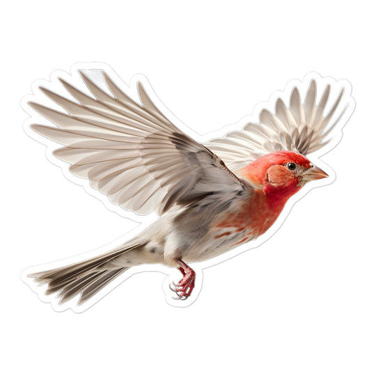 Red Headed Finch Sticker - Stickerfy.ai