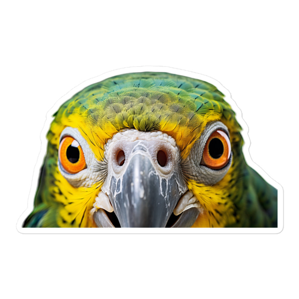 Senegal Parrot Sticker - Stickerfy.ai