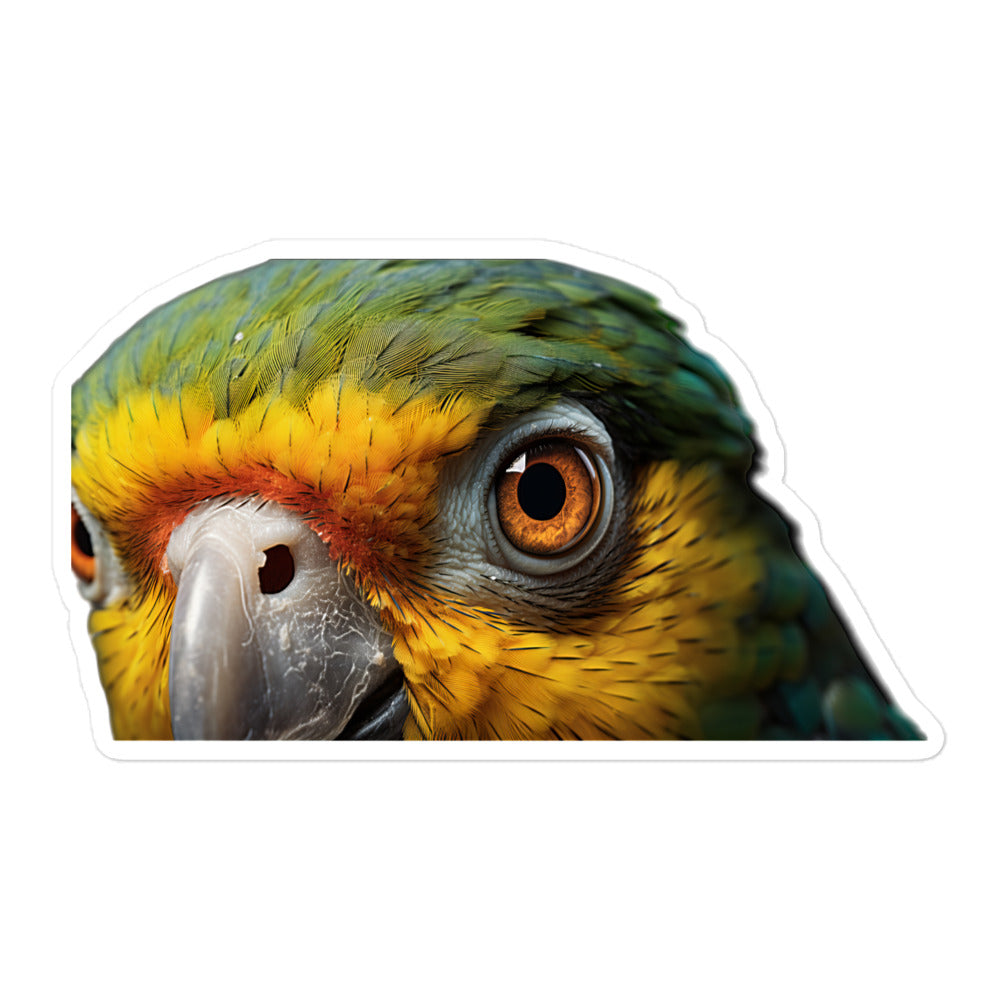 Senegal Parrot Sticker - Stickerfy.ai