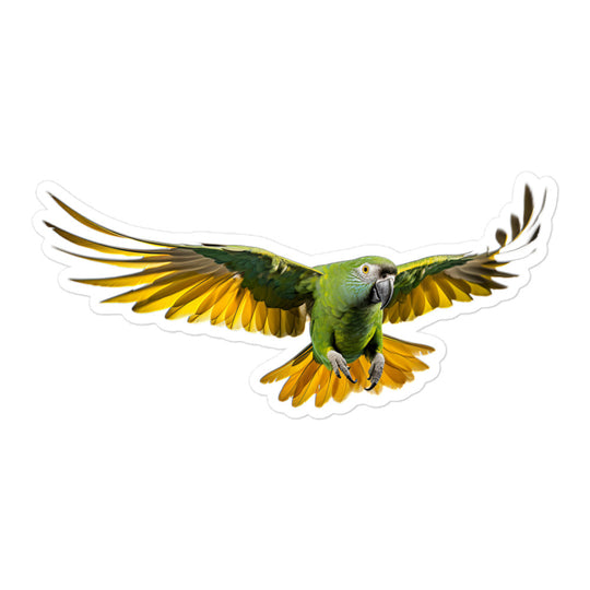 Senegal Parrot Sticker - Stickerfy.ai