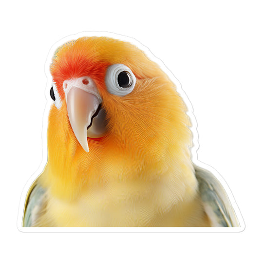 Lovebird Sticker - Stickerfy.ai