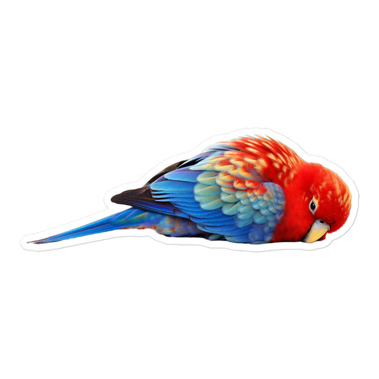 Rosella Sticker - Stickerfy.ai