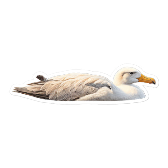 Albatross Sticker - Stickerfy.ai