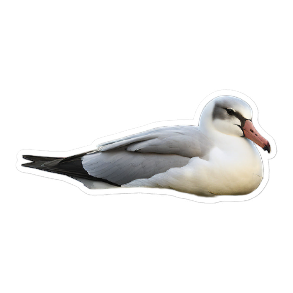 Albatross Sticker - Stickerfy.ai