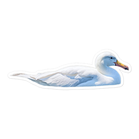 Albatross Sticker - Stickerfy.ai