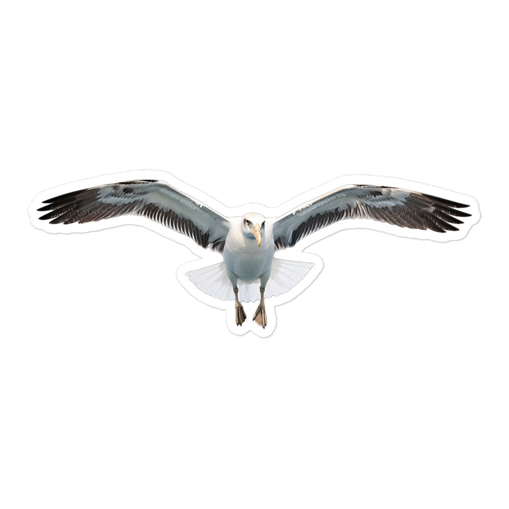 Albatross Sticker - Stickerfy.ai