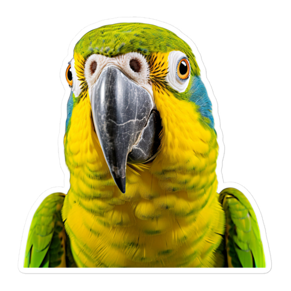 Blue Fronted Amazon Parrot Sticker - Stickerfy.ai