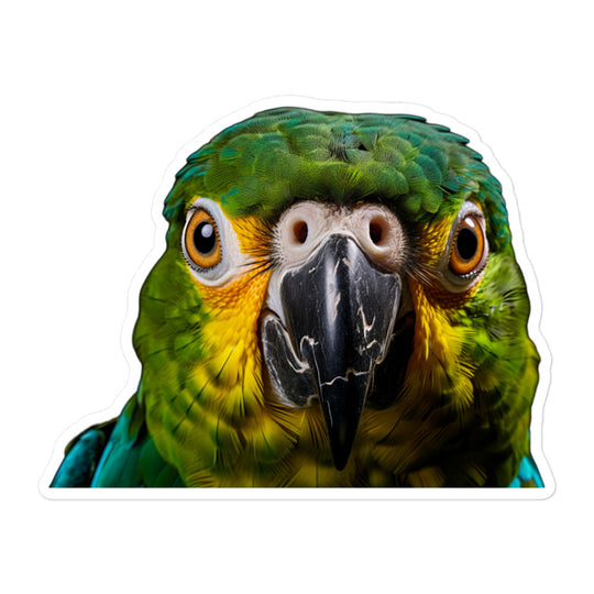 Blue Fronted Amazon Parrot Sticker - Stickerfy.ai