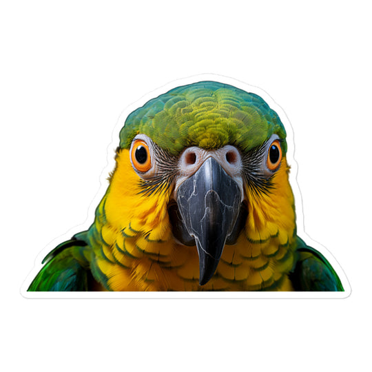 Blue Fronted Amazon Parrot Sticker - Stickerfy.ai