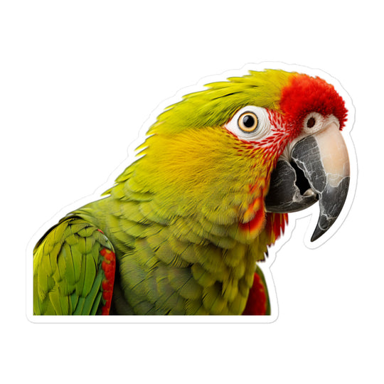 Amazon Parrot Sticker - Stickerfy.ai