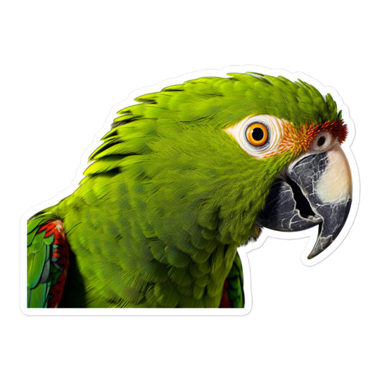 Amazon Parrot Sticker - Stickerfy.ai