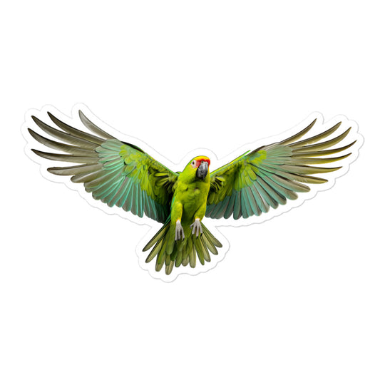 Amazon Parrot Sticker - Stickerfy.ai